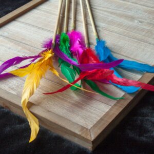 Dr. Pussums Feather Kitty Teaser - Wholesale