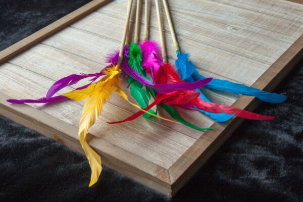 Dr. Pussums Feather Kitty Teaser - Wholesale