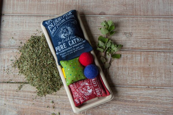 Combo Party Packs - Wholesale