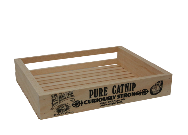 Dr Pussums Display Box LARGE - Wholesale