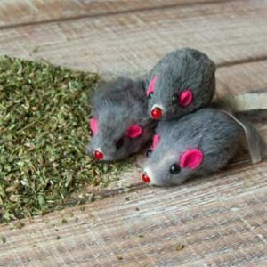 Mischief of Marinated Mice - Wholesale